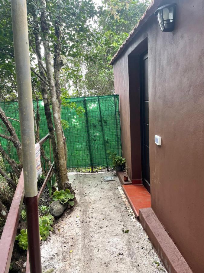 Casa Camino Los Chorros Vallehermoso Kültér fotó